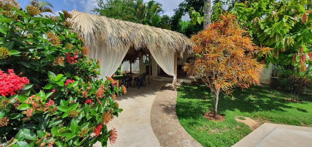 Hotel Casa Gio Las Terrenas Exterior foto